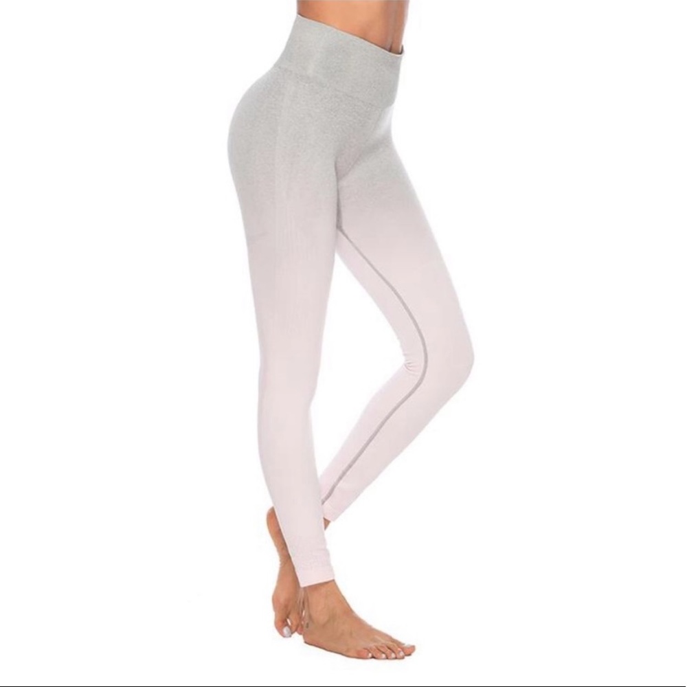 Astoria Activewear Ombre Seamless Leggings